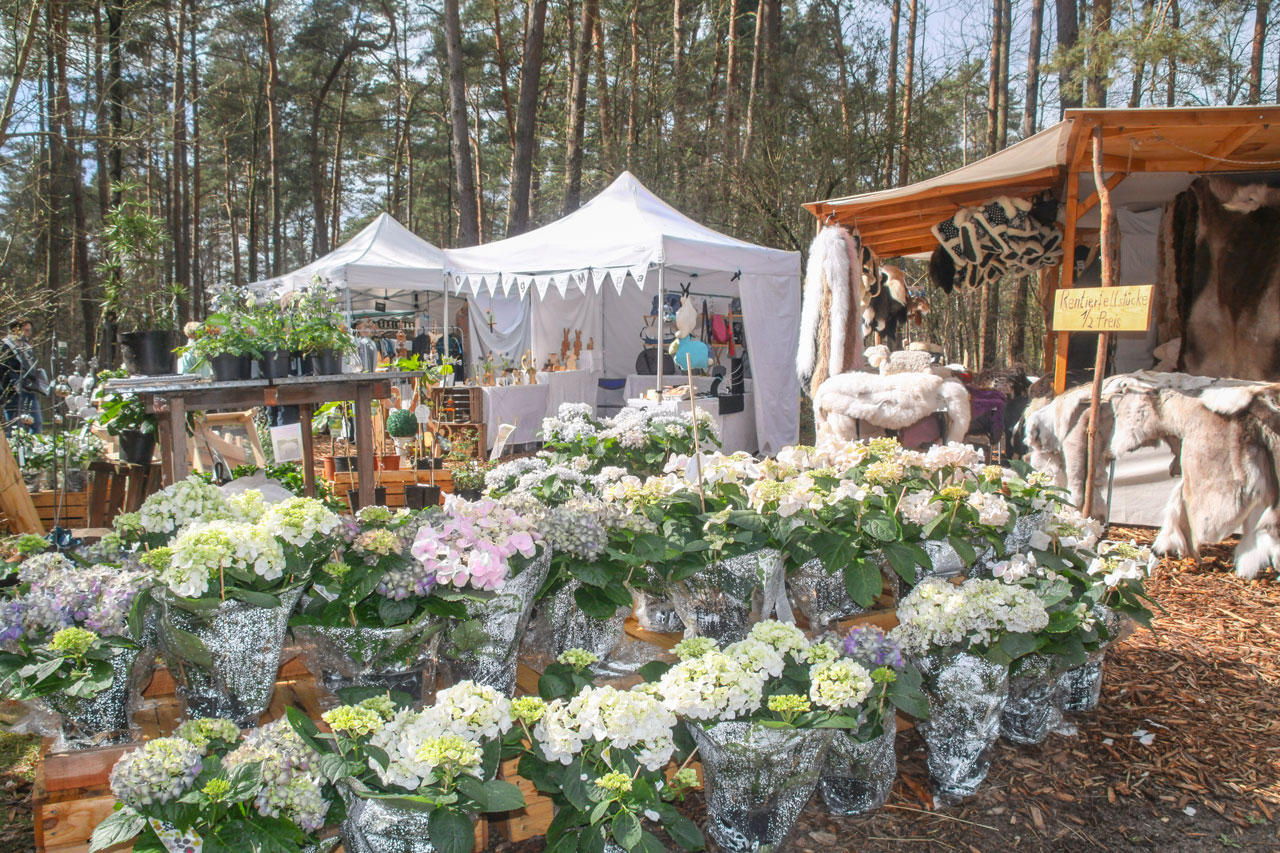 Pflanzen-und Kunsthandwerkermarkt