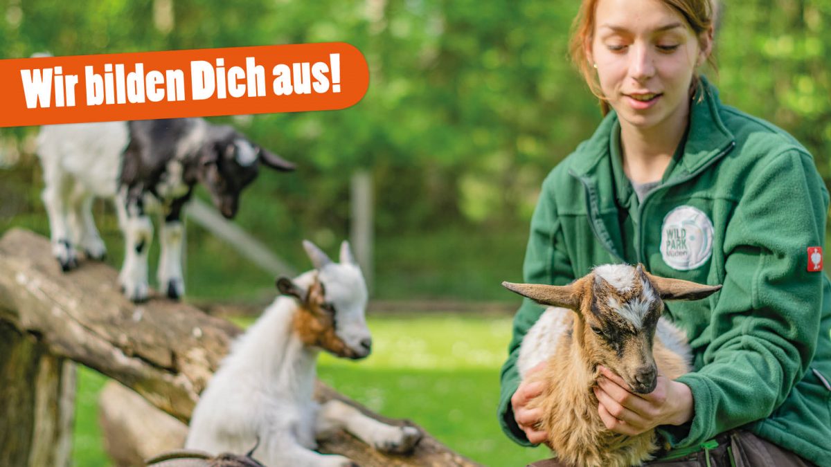  Ausbildung 2025: Tierpfleger/in - Fachrichtung Zoo (m/w/d) - Wildpark Müden Illustration 