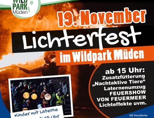 Lichterfest im Wildpark Müden