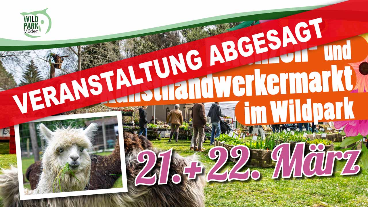 Kunsthandwerkermarkt In Wangen Im Allgau 11 07 2020