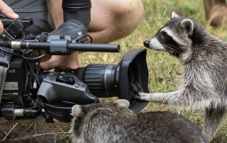 Deharbeiten im Wildpark Müden