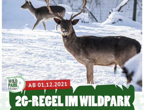 Ab 01.12.2021 – 2G im Wildpark!