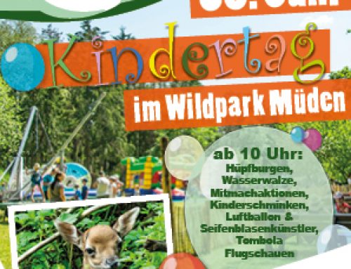 Kindertag im Wildpark Müden