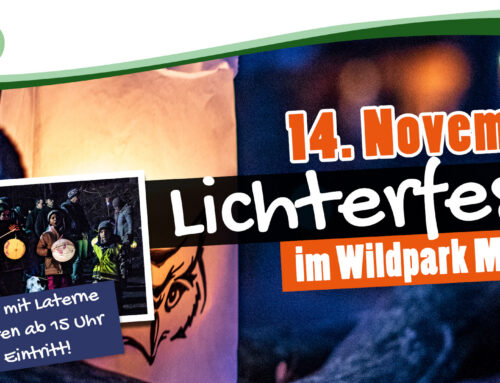 Lichterfest im Wildpark Müden am 14. November 2026