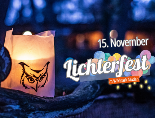 Lichterfest mit Laternenumzug im Wildpark Müden