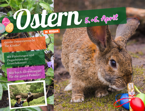 Ostern im Wildpark Müden