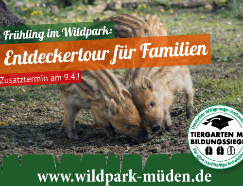 Frühling im Wildpark: Entdeckertour für Familien