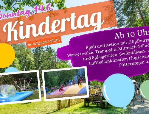 Kindertag im Wildpark Müden am 14.06.2026