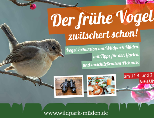 Der frühe Vogel zwitschert schon!