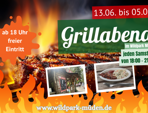 Grillabende im Wildpark Müden