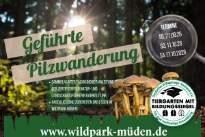 Wildpark Müden – Tierisch nah dran!