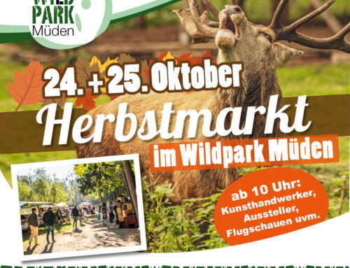 Hersbtmarkt am 24. und 25. Oktober 2026